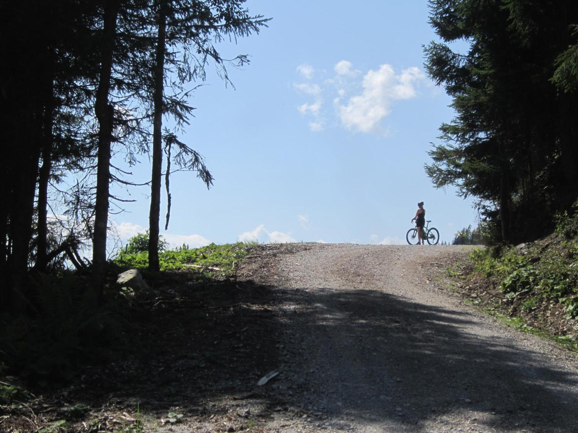 דירות Mühlbach am Hochkönig Haus Wasserbauer מראה חיצוני תמונה